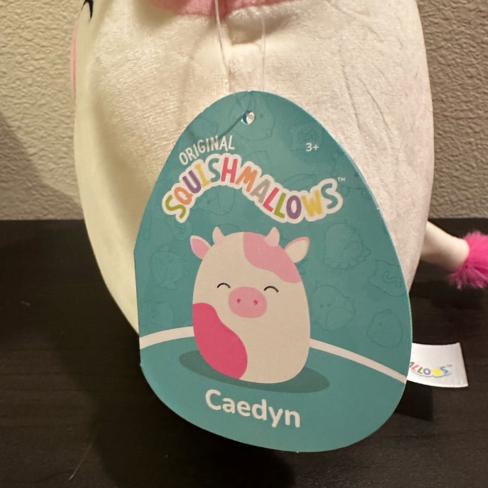Caedyn squishmallow